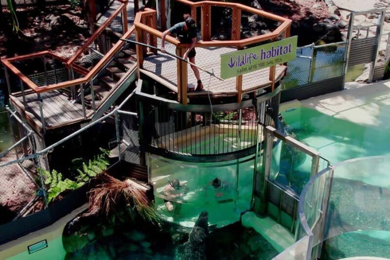 Port Douglas: Wildlife Habitat Swim with Crocodiles - An Inside Look at the Croc Arena Experience