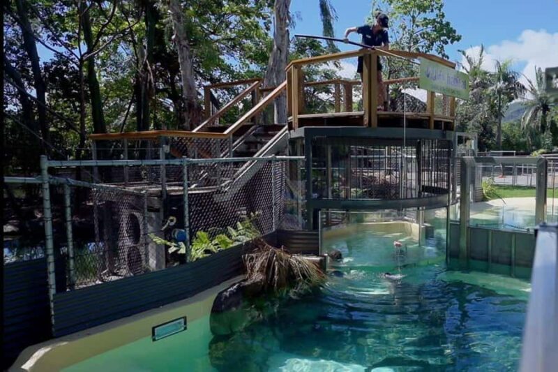 Port Douglas: Wildlife Habitat Swim with Crocodiles - Practical Details and Considerations