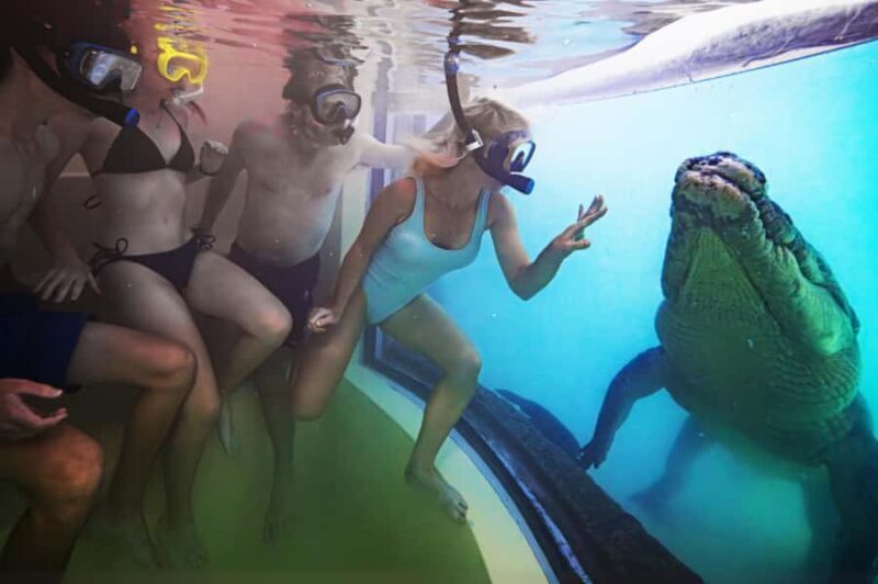 Port Douglas: Wildlife Habitat Swim with Crocodiles - How This Experience Compares
