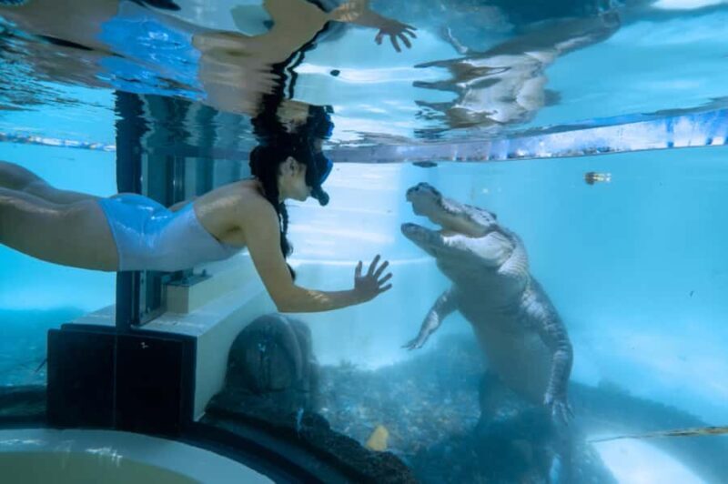 Port Douglas: Wildlife Habitat Swim with Crocodiles - The Sum Up