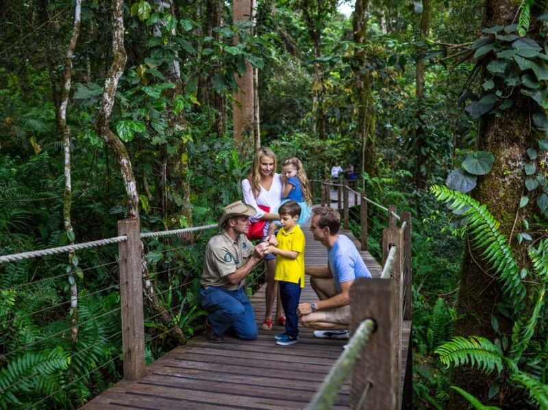 Port Douglas: World Heritage Forest by Skyrail & Scenic Rail - The Journey Begins with Pickup and Preparation