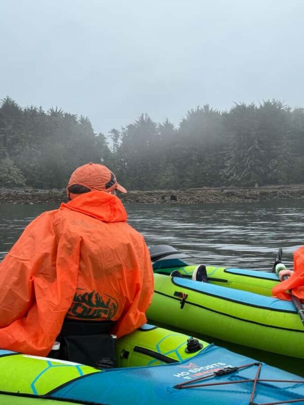 Port Hardy: Keogh River Bear/Wildlife Kayak Tour - Who Should Consider This Tour?