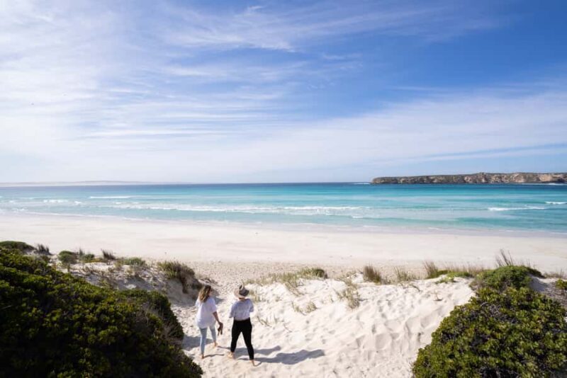 Port Lincoln: Coffin Bay Seafood, Wine, and Nature Day Trip - A Deep Dive into the Experience