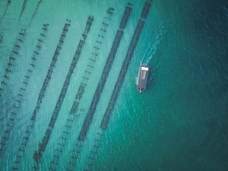 Port Lincoln: Coffin Bay Seafood, Wine, and Nature Day Trip - The Sum Up