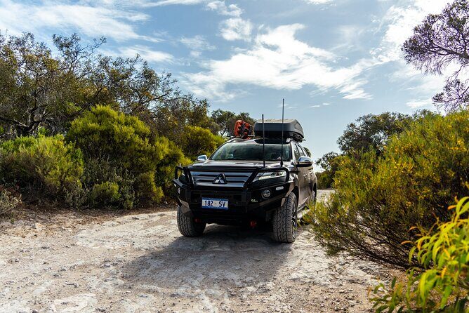 Port Lincoln Full-day Exploration Tour - Practical Details: Transportation, Timing, and Group Size