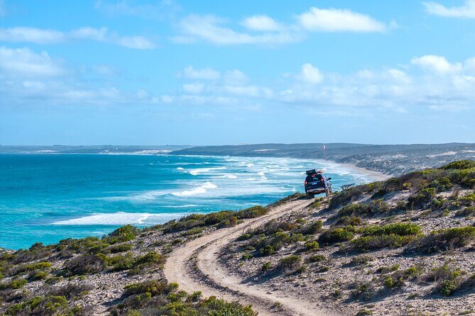 Port Lincoln National Park Half day Tour - Review of the Port Lincoln National Park Half Day Tour