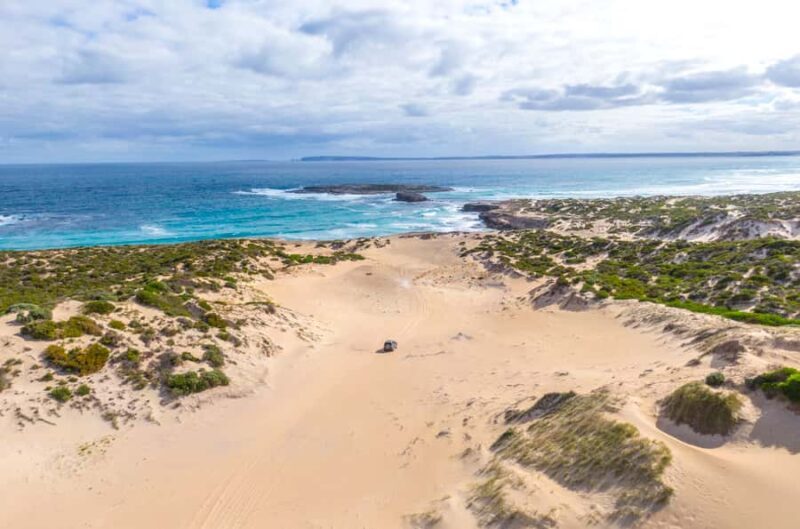 Port Lincoln: Wildlife and Sightseeing Full-Day 4WD Tour - The Sum Up