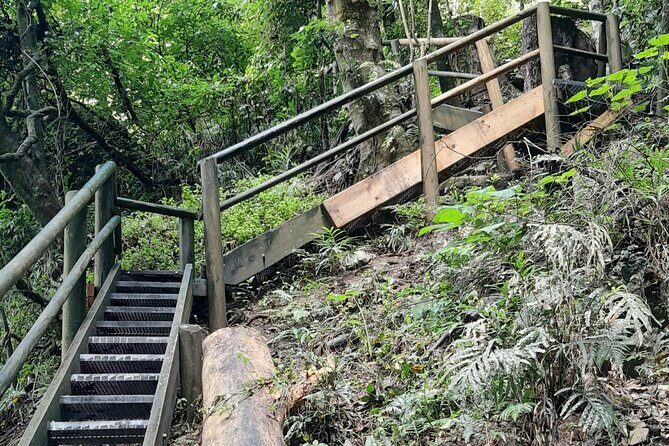 Port Macquarie day tour to Ellenborough Falls & Comboyne Rock - Who Should Consider This Tour?