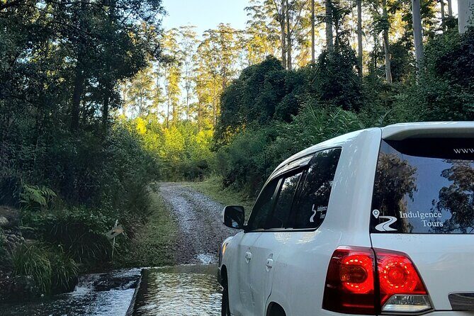 Port Macquarie day tour to Ellenborough Falls & Comboyne Rock - FAQs