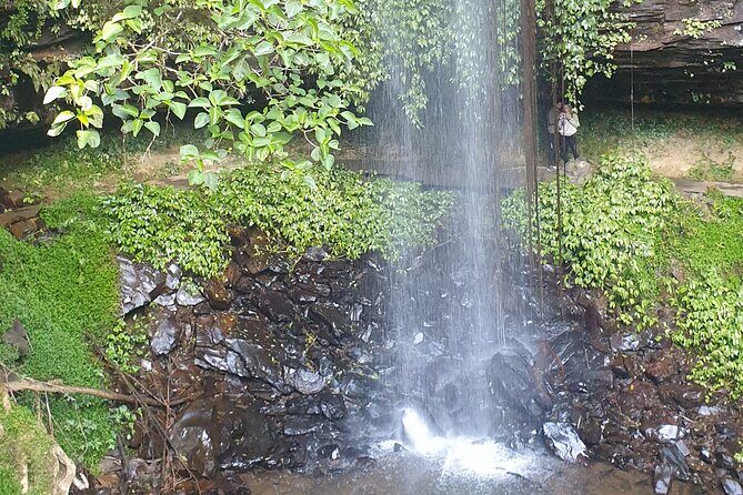 Port Macquarie Day Tour to Water Falls and Lookouts - The Sum Up