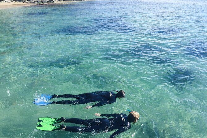 Port Phillip Bay Snorkeling with Sea Dragons - Equipment and Safety: What’s Included