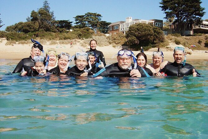 Port Phillip Bay Snorkeling with Sea Dragons - Final Thoughts: Is It Worth It?