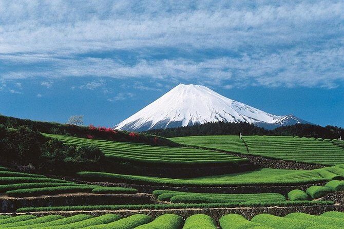 Port Pick-Up: Shizuoka Tour with Licensed Guide and Vehicle - Key Points