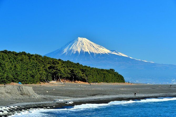 Port Pick-Up: Shizuoka Tour with Licensed Guide and Vehicle - Why Choose This Tour?