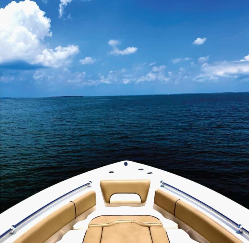 Port Royal Sound: Private Boat Charter with Dolphin Watching - An In-Depth Look at the Tour Experience