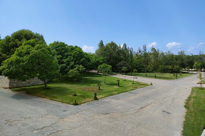 Port Saplaya bike private tour - FAQ