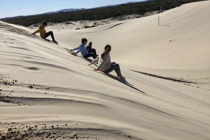 Port Stephens, Beach and Sand Dune 4WD Tag-Along Tour - The Price and What You Get