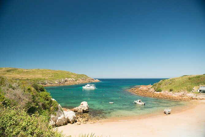 Port Stephens: Broughton Island Cruise - Key Points