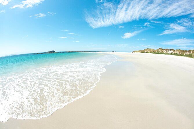 Port Stephens: Broughton Island Cruise - Final Thoughts