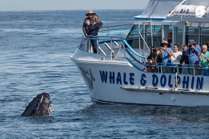 Port Stephens, departing Newcastle - Whales, hike & sand dunes! - Who Should Consider This Tour