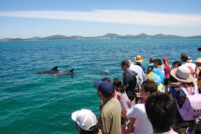 Port Stephens: Dolphin Discovery Cruise - FAQ