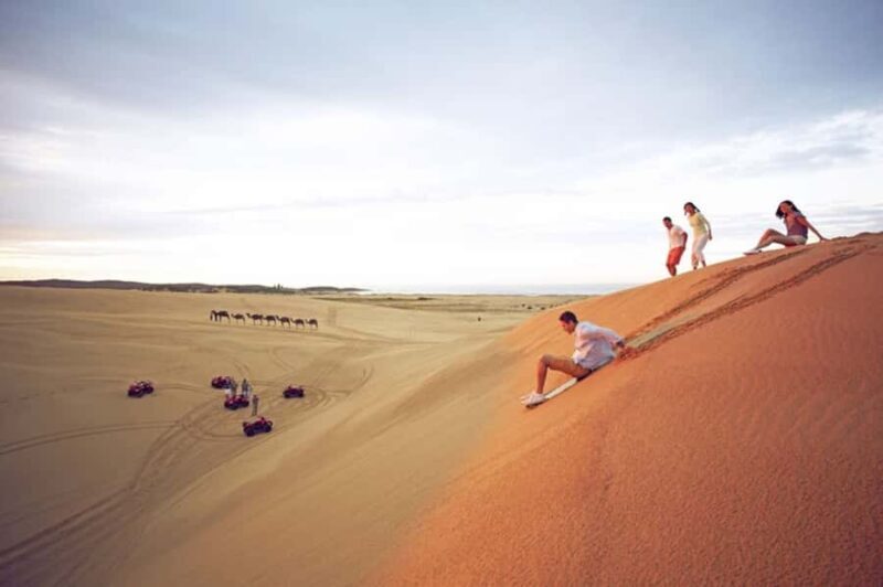 Port Stephens: Dolphin, Lunch, Koalas&Sandboarding -Mandarin - Key Points