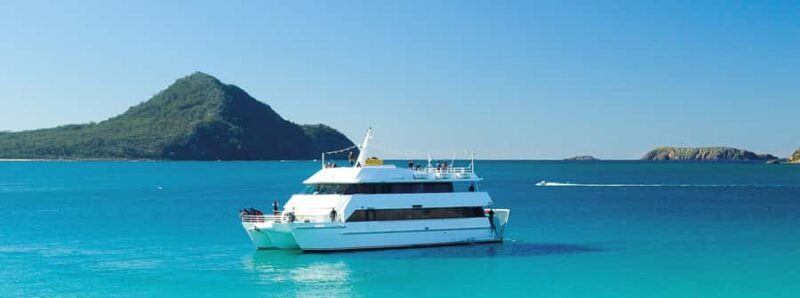 Port Stephens: Dolphin, Lunch, Koalas&Sandboarding -Mandarin - The Experience: What You Can Expect from the Tour