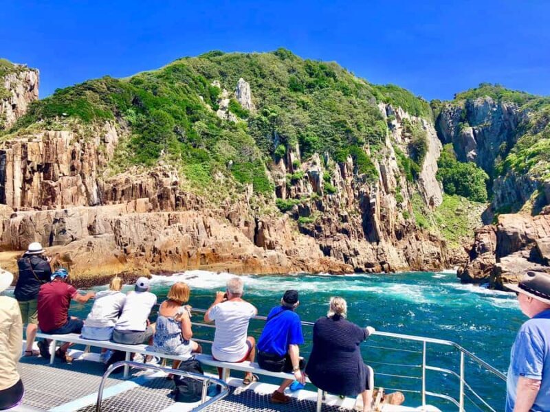 Port Stephens: Dolphin Watch & Eco Adventure - Final Thoughts: Who Should Consider This Tour?