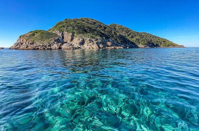 Port Stephens: Dolphin Watch Eco Adventure - Practical Tips for Booking and Enjoying