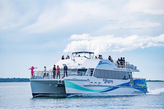 Port Stephens: Dolphin Watch Eco Adventure - Final Thoughts: Is This Tour Right for You?