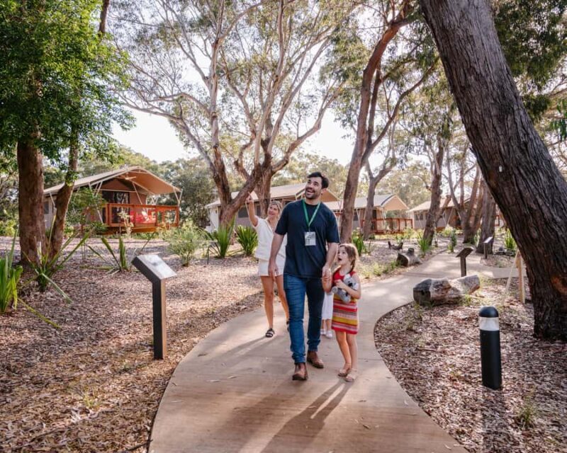 Port Stephens: Koala Sanctuary General Admission Ticket - What to Expect: A Day Among Koalas and Australian Bushland