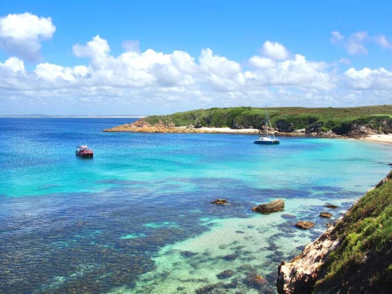 Port Stephens: Port Stephens Island Snorkel Adventure Cruise - An In-Depth Look at the Port Stephens Snorkel Adventure