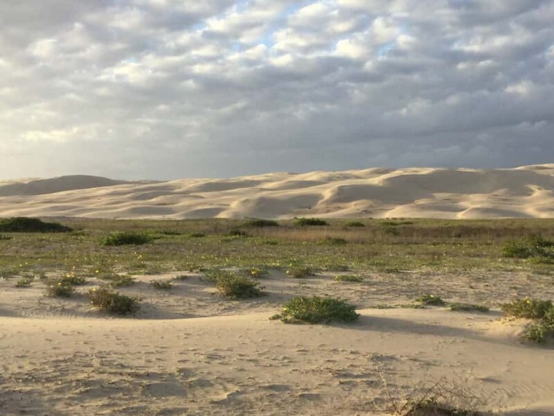 Port Stephens: Stockton Sand Dunes 4WD Tag-Along Tour - The Sum Up