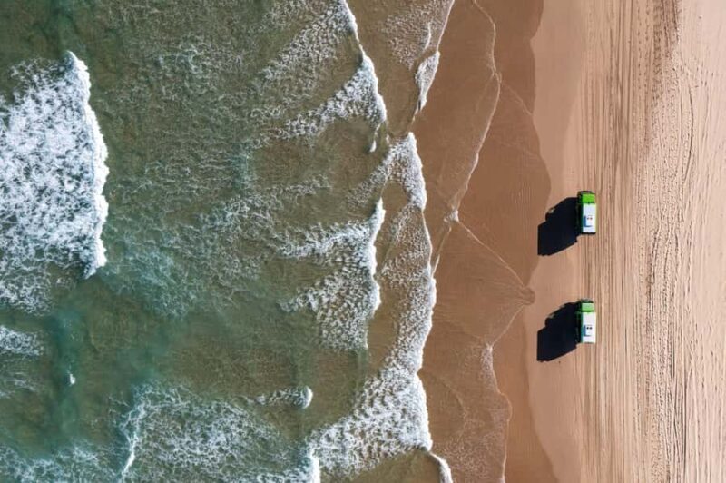 Port Stephens: Unlimited Sandboarding & 4WD Sand Dune Tour - Key Points