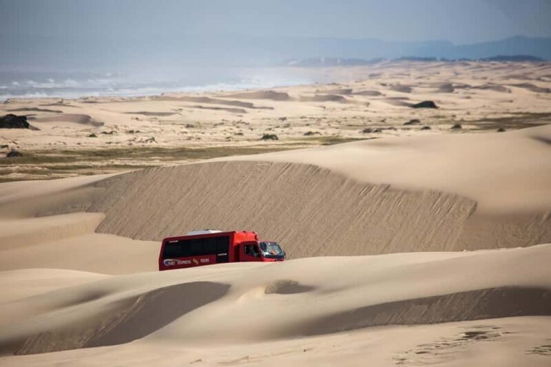 Port Stephens: Worimi National Park Sandboarding Adventure - Discovering the Dunes: What the Tour Looks Like