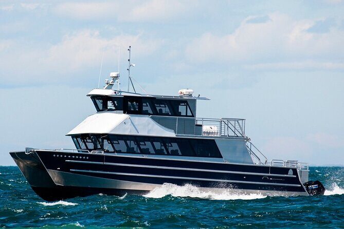 Port Townsend Wildlife Watching Cruise - Overview of the Experience