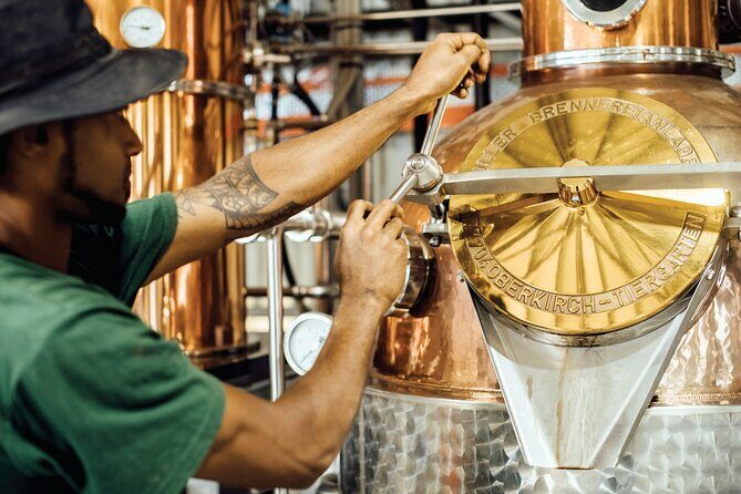 Port Vila's Guided Food Experience - Who Should Consider This Tour?