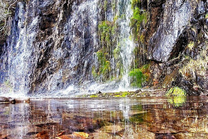 Port Whittier Day Tour - Wilderness, Wildlife & Ring of Glaciers - Introduction: A Closer Look at the Whittier Day Tour