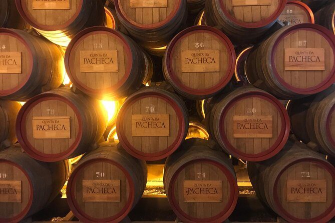 Port Wine Cellars Private Tour with Local Lunch - Real Guest Experiences