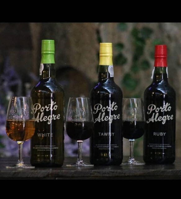 Port wine tasting in Vila Nova de Gaia - An In-Depth Look at the Experience