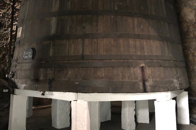 Port Wine Tour | 3 Cellars | 7 Tastings | 12 Participants Maximum - A Deep Dive into the Experience