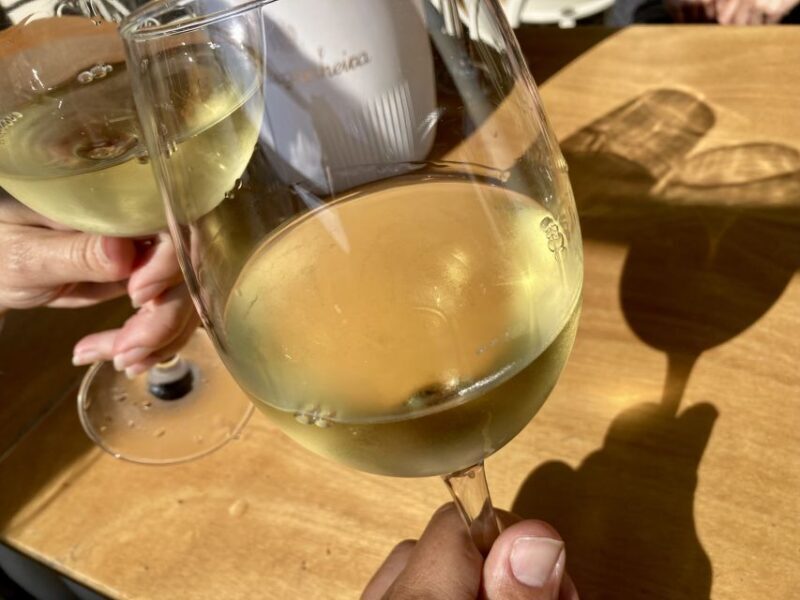 Port wine & wine walking tour with culture - max 8 pax - The Voice of Past Travelers