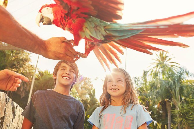 PortAventura Park Day Trip from Barcelona - Key Points