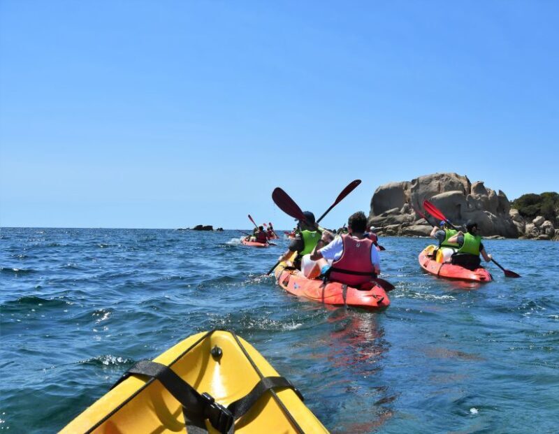 Porticcio: Guiding Kayaking Tour - The Sum Up