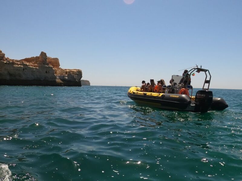 Portimão: 2-Hour Dolphin Watching Boat Tour - Key Points