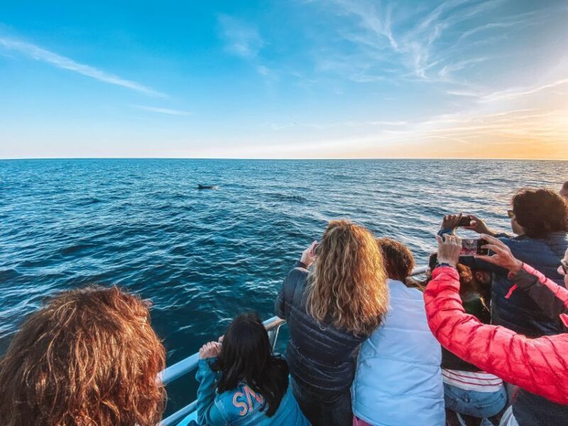 Portimão: Benagil Caves & Dolphins Watching with Biologist - Frequently Asked Questions