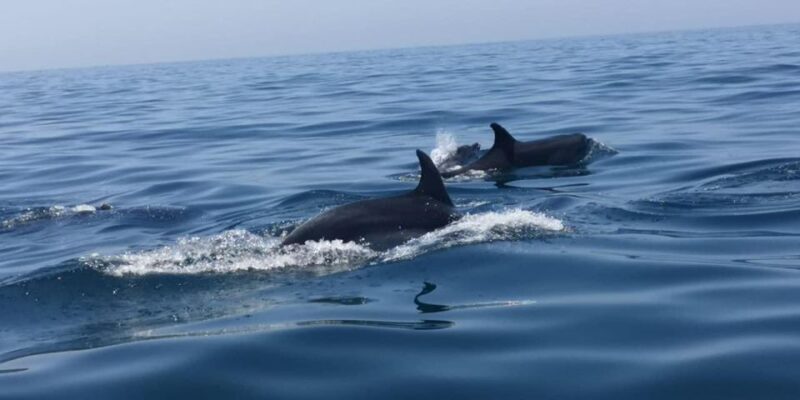 Portimão: Family Gathering - The Itinerary in Detail