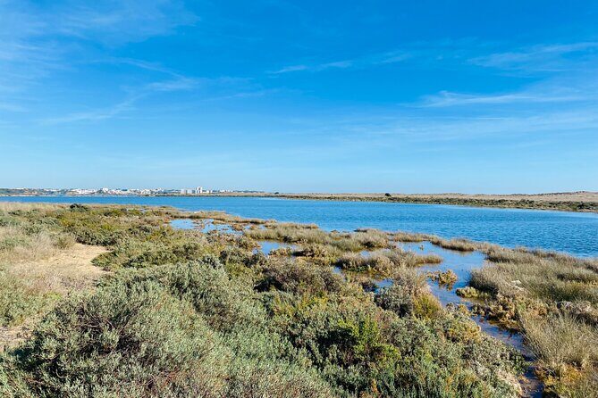 Portimão sightseeing guided tour on e-bikes - Practical Details & Considerations