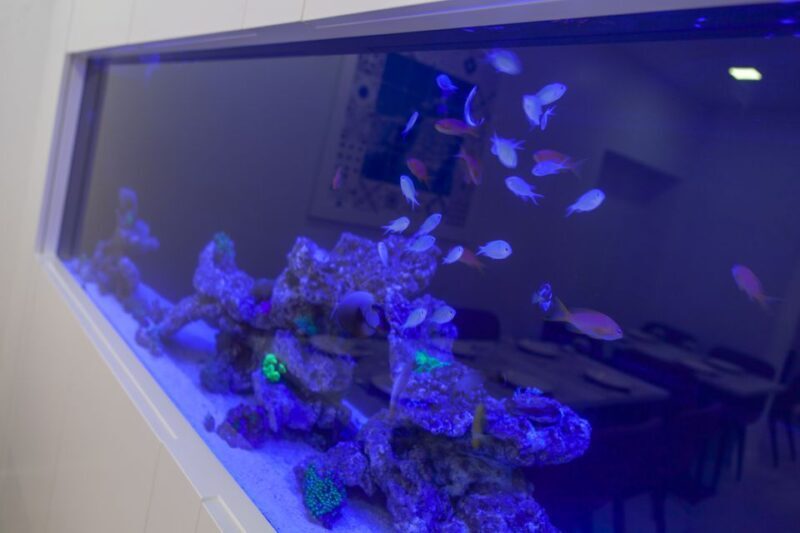 Portimão: Spanish Nights Sevillian Dance & Tapas Tasting - FAQs