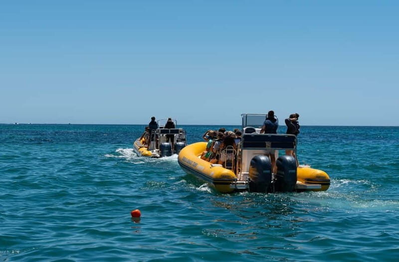 Portimão: Tour of the Benagil Caves - Who Would Love This Tour?